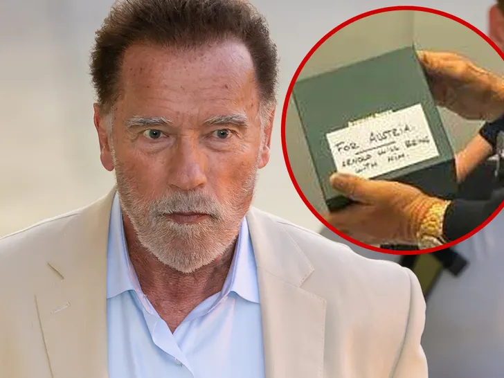 ARNOLD SCHWARZENEGGERDETAINED IN MUNICH FOR ‘UNREGISTERED’ WATCHHauled Off To ATM To Pay Taxes