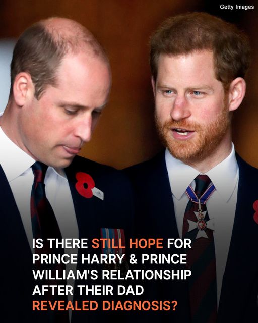 Is There Still Hope for Prince Harry & Prince William’s Relationship Years Into Their Rift?